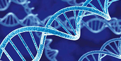 Biologie moléculaire - PCR