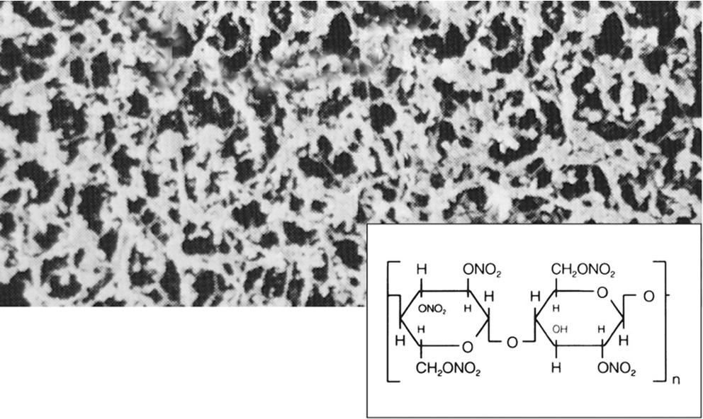 Filtre membrane en nitrate de cellulose Sartorius type 130