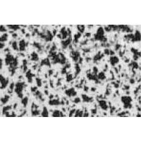 Filtre membrane ester mixte de cellulose (MCE) d. 47mm blanche avec quadrillage 0,45µm, stérile